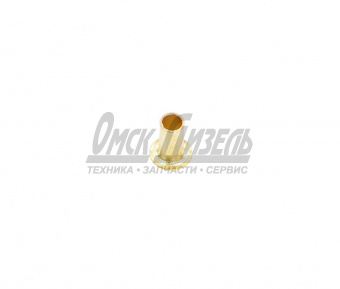 Заклепка КАМАЗ торм 10х21,5 (6520, мост Laizhou Tongji Industry Trade) HOWO (к-т из 100 шт.) QDT3502168-LB