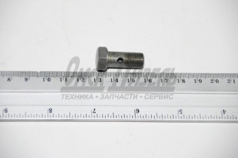 Болт МТЗ,ЗИЛ-5301,ЯМЗ (штуцер) форсунки, ЭФП (ММЗ Столбцы) /6,8/ 36-1104787 (М10х1,0х21) 