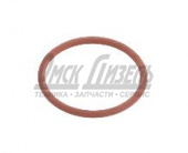 Кольцо КАМАЗ КПП FAST GEAR F12JZ24 КАМАЗ-54901 упл выходного фланца 10667161