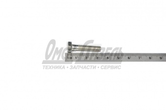 Болт М 6х28 ЯМЗ крепл редукц клапана 310043-П29