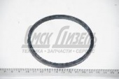 Кольцо КАМАЗ водяного насоса CUMMINS установочное EQB140/210-20, ISDe185-30 3906698