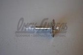 Лампа 24В 70Вт Н1 54130 МАЯК 09.1491 24В 70Вт Н1 Р14,5s