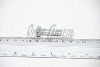 Болт М10х30-8,8 КАМАЗ барабана А1 (Madara) БДС1232-86