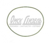 Кольцо упл г/п КАМАЗ 54901 (дв. КАМАЗ Р6) R910.11-1002024-01 (допустимый аналог 910.11-1002024-01)