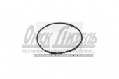 Прокл КАМАЗ ФГОМ (колпака) 740-1012083