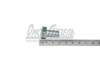Болт М10х1,25х 20 КАМАЗ 1/59705/21(№63)