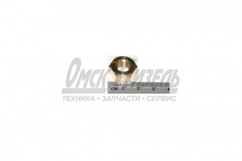 Гайка М10х6Н Г-2410 коллектора (S-10) 250536 600