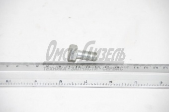 Болт МТЗ,ЗИЛ-5301 (штуцер) ФТОТ (ММЗ Столбцы) 240-1117101-А(М10*1,5*20)