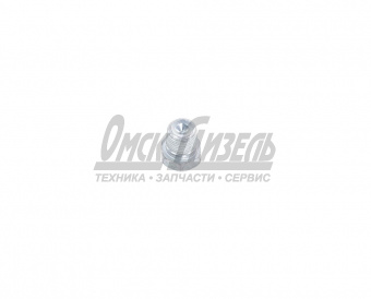 Пробка КАМАЗ картера ЗМ, СМ, ПМ, МОД, ПГУ, пром опоры кард вала КГ1/8 864341-009