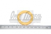 Кольцо КАМАЗ КПП ZF  уплотн.(М2029896) 0501 315 198/95532590