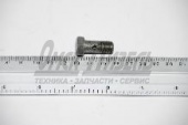 Болт МТЗ,ЗИЛ-5301,ЯМЗ (штуцер) форсунки, ЭФП (ММЗ Столбцы) /6,8/ 36-1104787 (М10х1,0х21) 