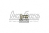 Болт МТЗ,ЗИЛ-5301 (штуцер) ЭФП (М10х1,0х18)(ММЗ Столбцы) ЭФП-8101627-В