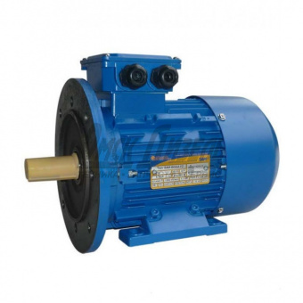 Электродвигатель АИР 100 L2 У2 5.5/3000 М2081 