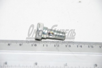 Болт М 8х1,0х 6g-21 дренажных трубок КАМАЗ ЕВРО-4 740.70-1104368-10 