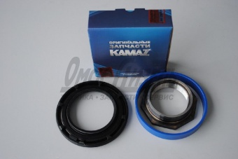 Рем комплект КАМАЗ ЕВРО задн ступ (РОСТАР)(4 наим) Р53205-3104000-10