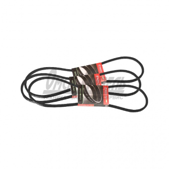 Ремень 1250-11х10 в/н Д-240,-241Л, СМД-31-01 /MASTER PART/ 1250-11х10