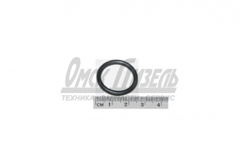 Кольцо упл. КАМАЗ КПП 16  S ZF 20*3 0634 313 198